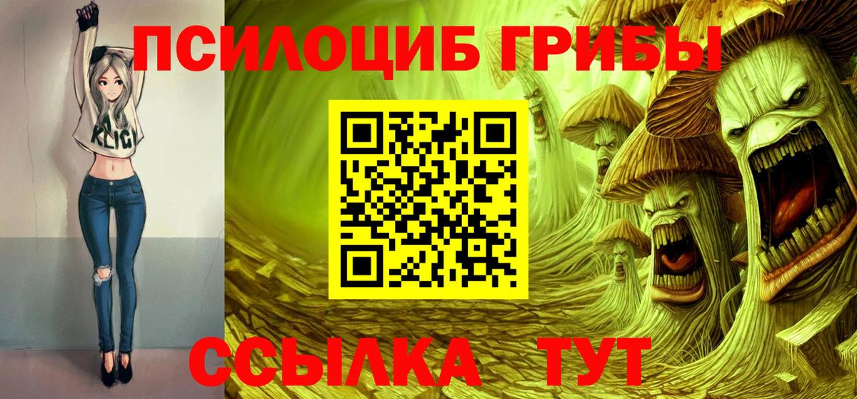 Галлюциногенные грибы Psilocybe Родники