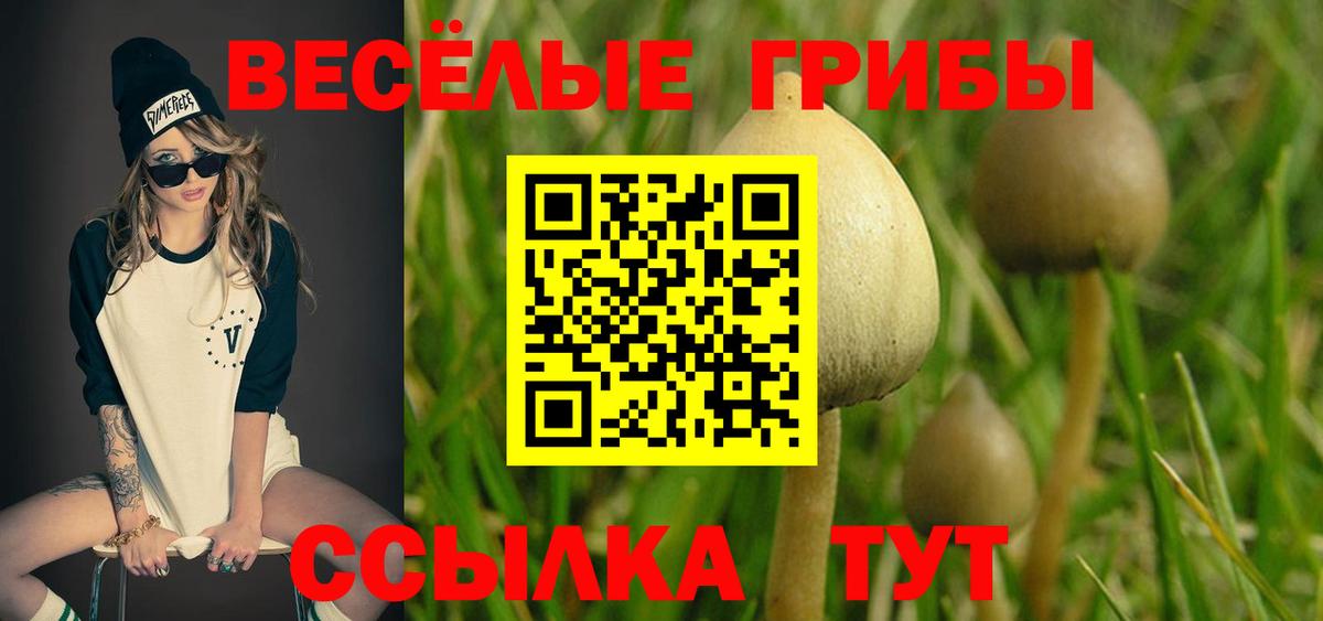 Галлюциногенные грибы GOLDEN TEACHER Родники